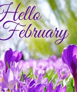 Hello February Quote paint by numbers