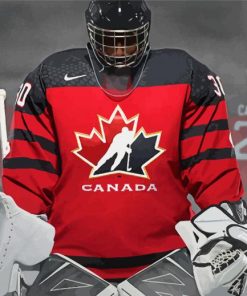 Hockey Canada Paint By Numbers