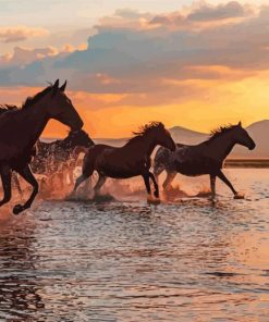 Horses By Water paint by numbers