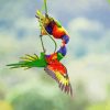 Lorikeets Birds paint by numbers