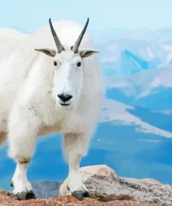 Mountain Goat paint by numbers