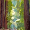 Muir Woods National Monument paint by numbers