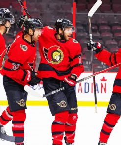 Ottawa Senators Ice Hockey paint by numbers