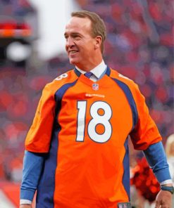 Peyton Manning Footballer paint by numbers