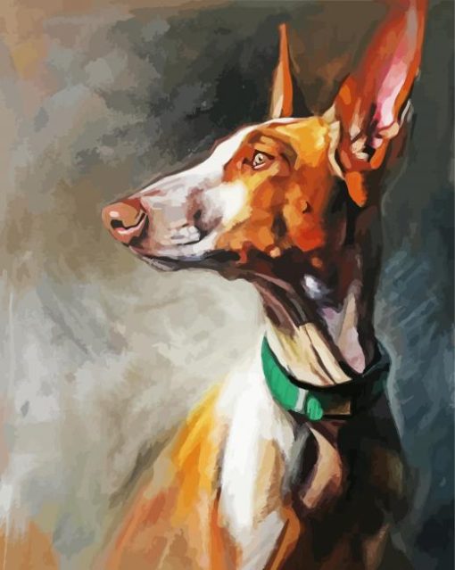 Podenco Dog Art paint by numbers