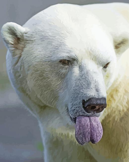 Polar Bear Tongue Out paint by numbers