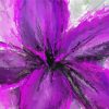 Purple Flower Paint By Numbers
