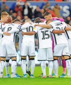 Swansea City AFC Players paint by numbers