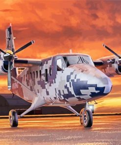 Twin Otter Aircraft paint by numbers