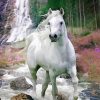 Waterfall White Wild Horse paint by numbers