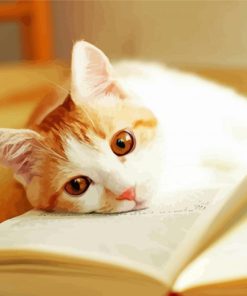 Adorable Cat With Book paint by numbers