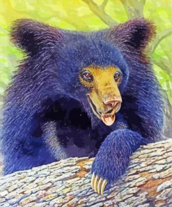 Aesthetic Sloth Bear Art paint by numbers