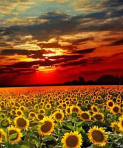 Aesthetic Sunflowers Sunset paint by numbers