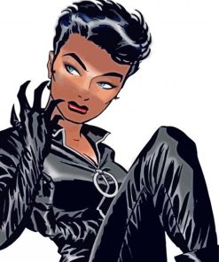 Aesthetic Selina Kyle paint by numbers