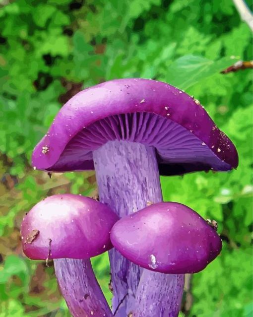 Beautiful Purple Mushroom paint by number