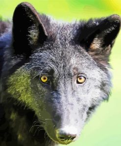 Black Eastern Wolf paint by numbers