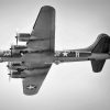 Black And White Sally B paint by numbers