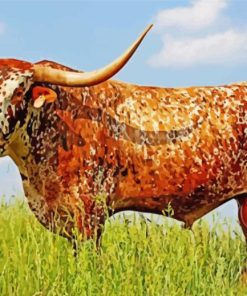 Cool Long Horn Cattle paint by numbers