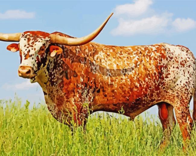 Cool Long Horn Cattle paint by numbers