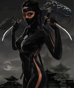 Female Ninja Kunoichi paint by numbers