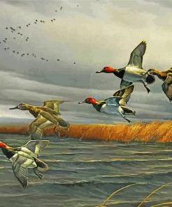 Flying Waterfowl paint by numbers