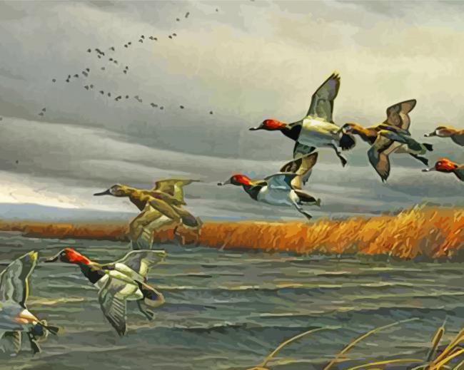 Flying Waterfowl paint by numbers