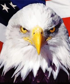 USA Flag Eagle Paint By Numbers