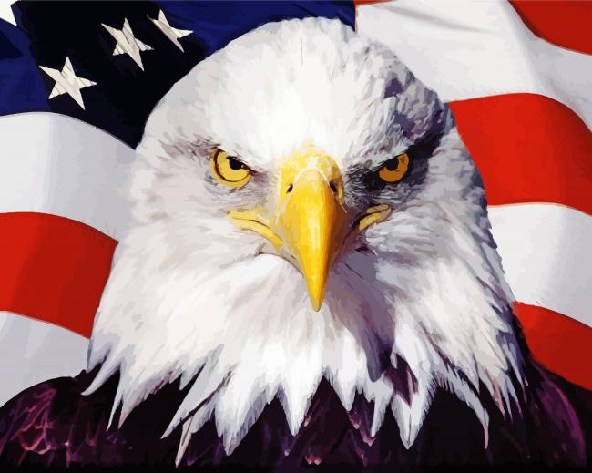USA Flag Eagle Paint By Numbers