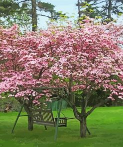 Pink Dogwood paint by numbers