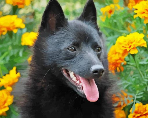Schipperke And Flowers paint by numbers