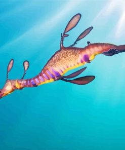 Seadragon paint by numbers