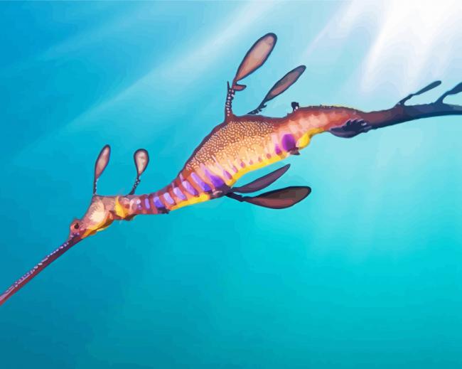 Seadragon paint by numbers