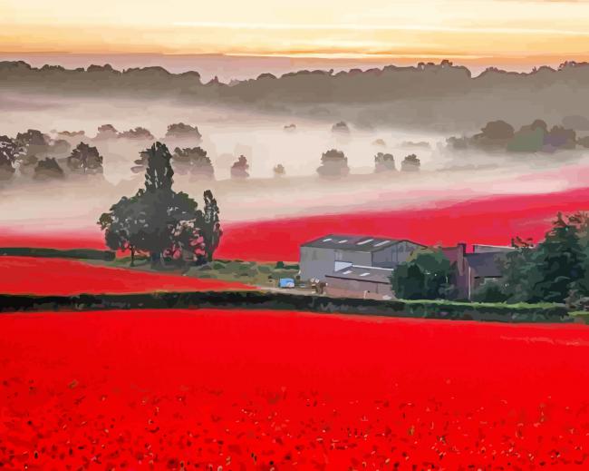 Aesthetic English Poppy Field Paint By Numbers