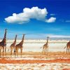 African Animals Landscape Paint By Number