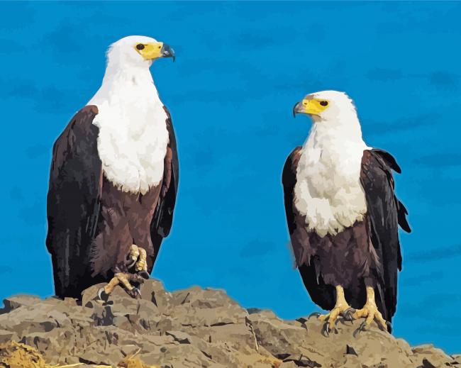 African Fish Eagles Paint By Numbers