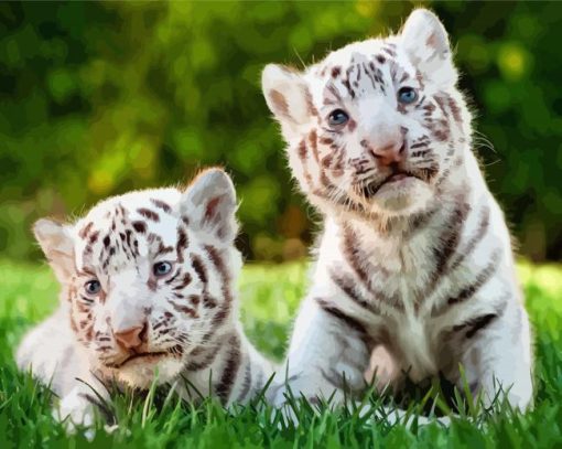 Baby White Tigers Paint By Numbers