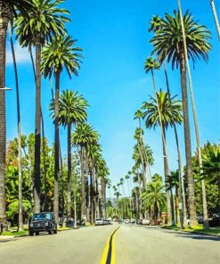 Beverly Hills Palm Trees Road Paint By Number