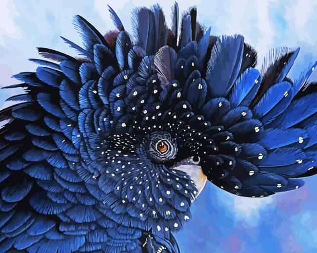 Black Cockatoo Bird Paint By Numbers