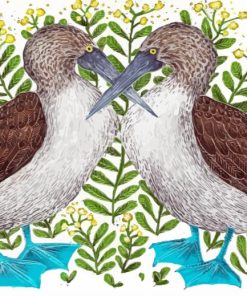 Blue Footed Booby Birds Paint By Numbers