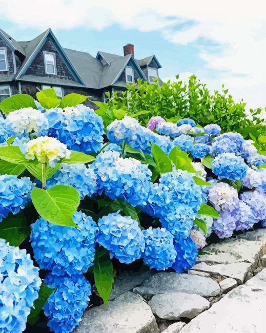 Blue Hydrangeas Paint By Numbers