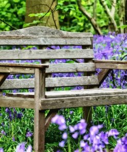 Bluebell Wood Chaise Paint By Numbers