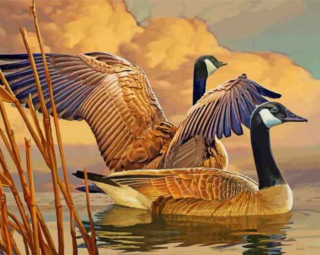 Canadian Geese Paint By Number