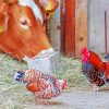 Cow And Rooster Farm Animals Paint By Numbers