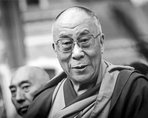 Dalai Lama Black And White Paint By Number