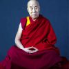 Dalai Lama Paint By Numbers