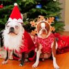 Dogs At Christmas Paint By Numbers