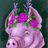 Floral Pig Head Paint By Number