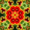 Flower kaleidoscope Paint By Number