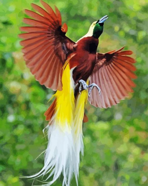Flying Paradise Bird Paint By Number