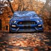 Ford Shelby GT350R Car Paint By Number